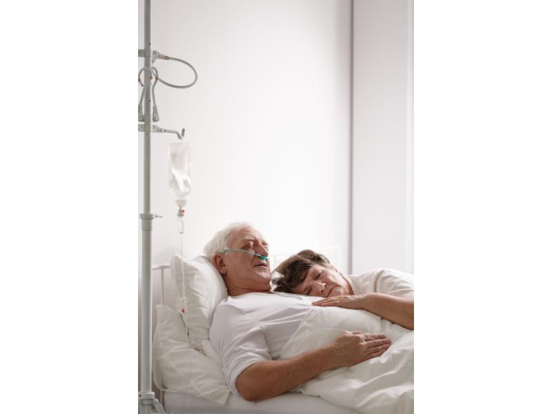 Holistische Konzepte verstehen image 2